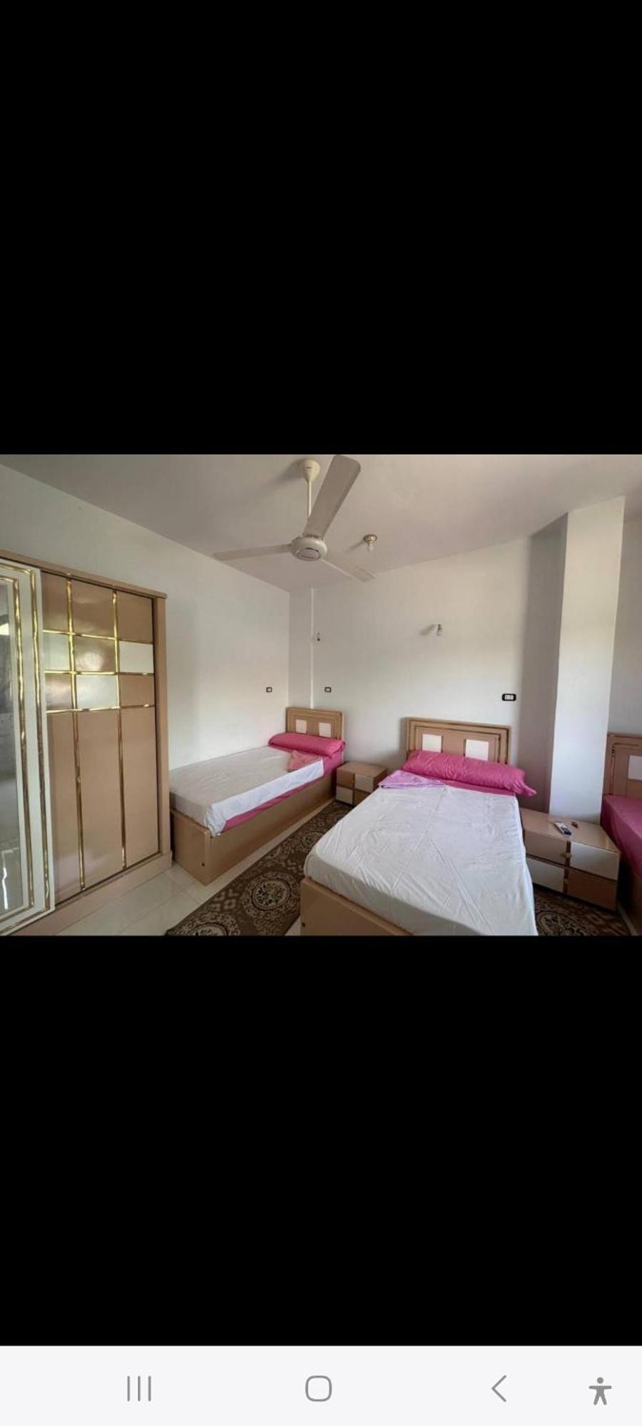 Nubian Bride Guest House أسوان المظهر الخارجي الصورة